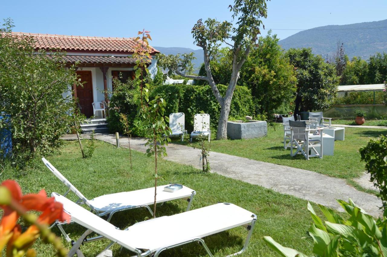 פטרה Mr. Greek Villa מראה חיצוני תמונה